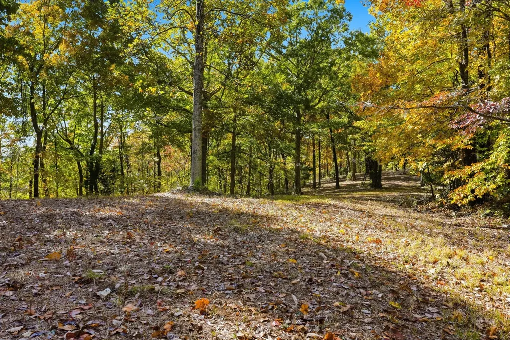4300 Bull Run Road Ashland City TN 37015