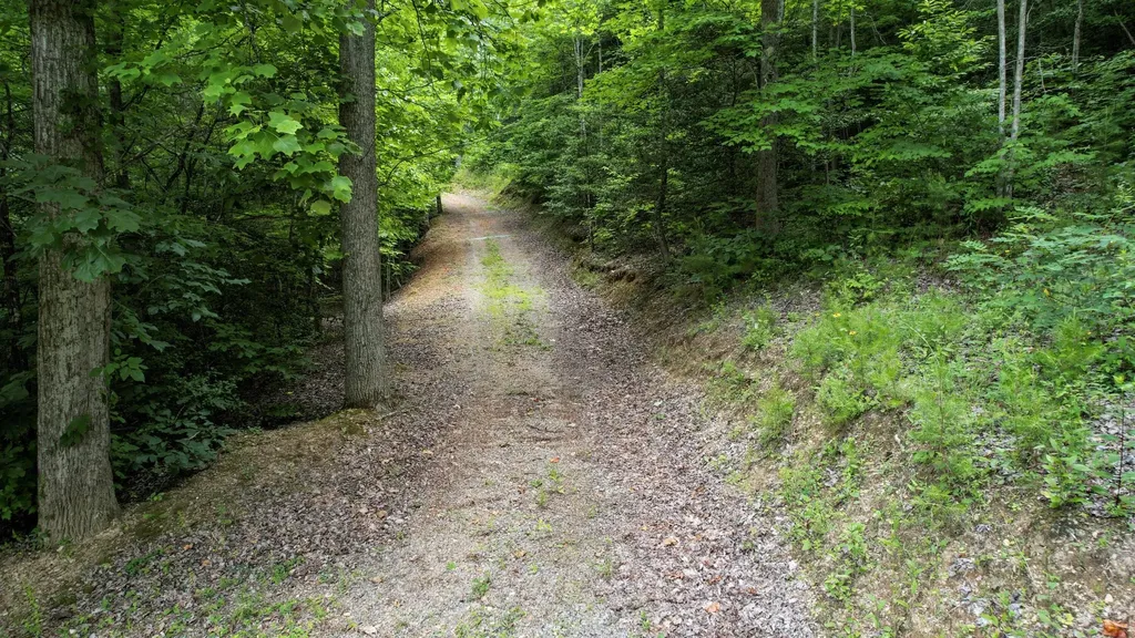 201 Campbell Branch Road Reliance TN 37369