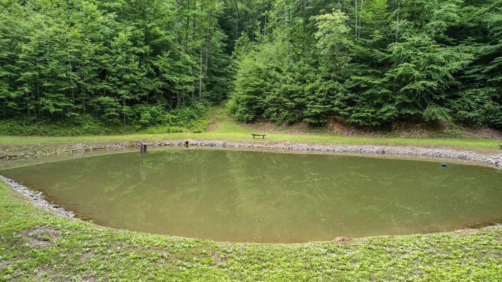 201 Campbell Branch Road Reliance TN 37369