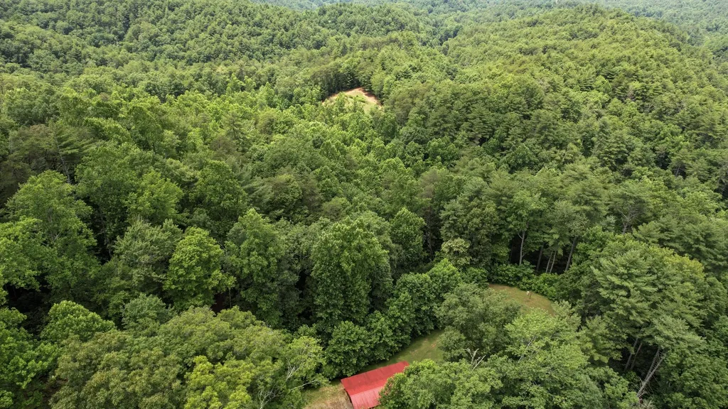 201 Campbell Branch Road Reliance TN 37369
