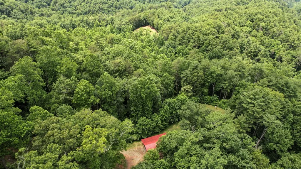 201 Campbell Branch Road Reliance TN 37369