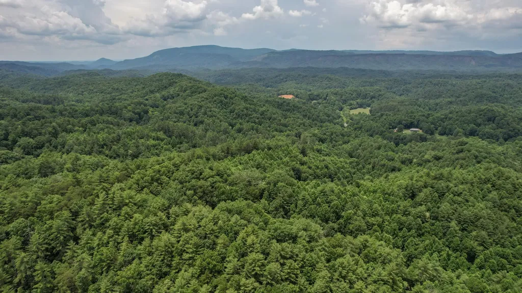 201 Campbell Branch Road Reliance TN 37369