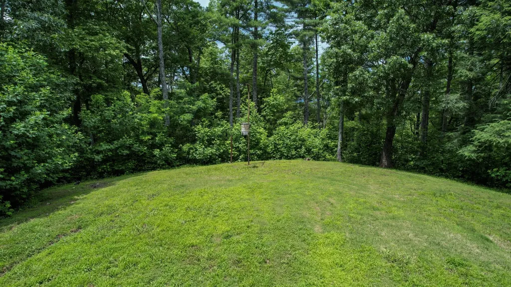 201 Campbell Branch Road Reliance TN 37369