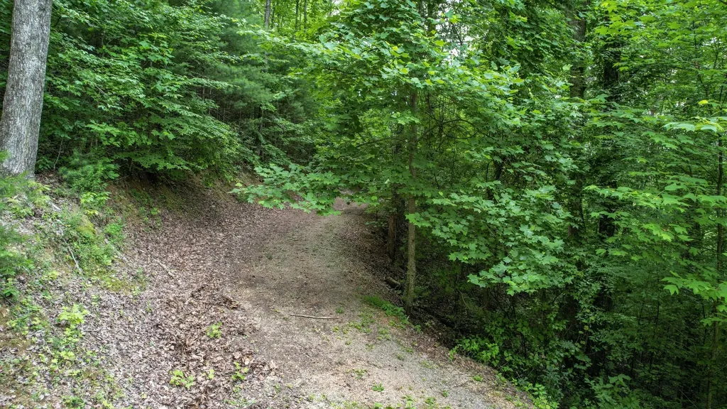201 Campbell Branch Road Reliance TN 37369