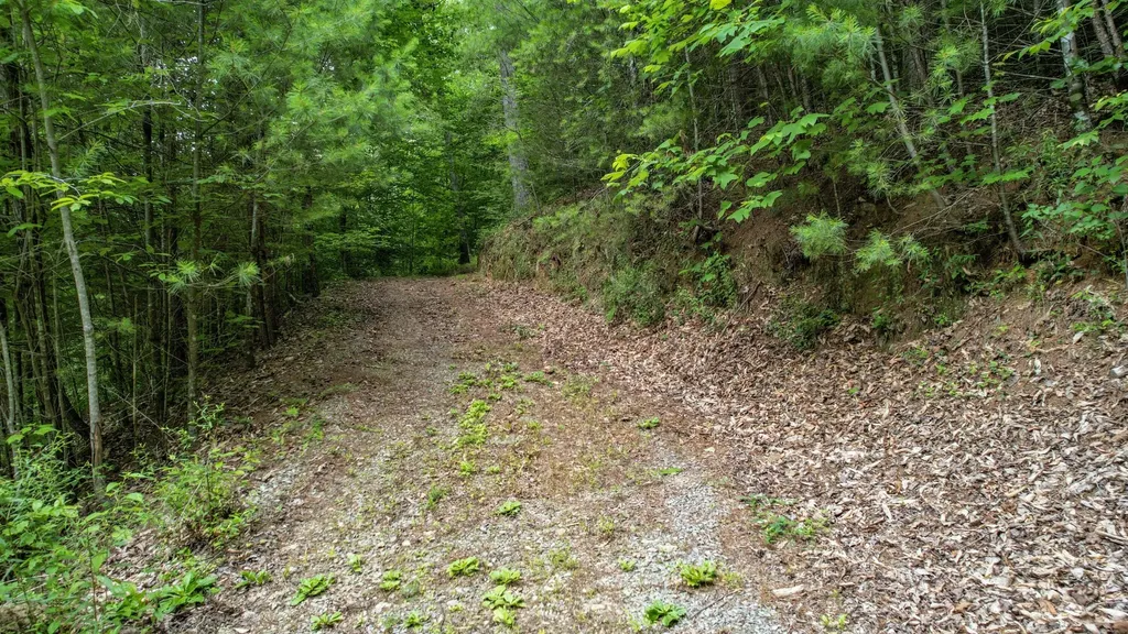 201 Campbell Branch Road Reliance TN 37369