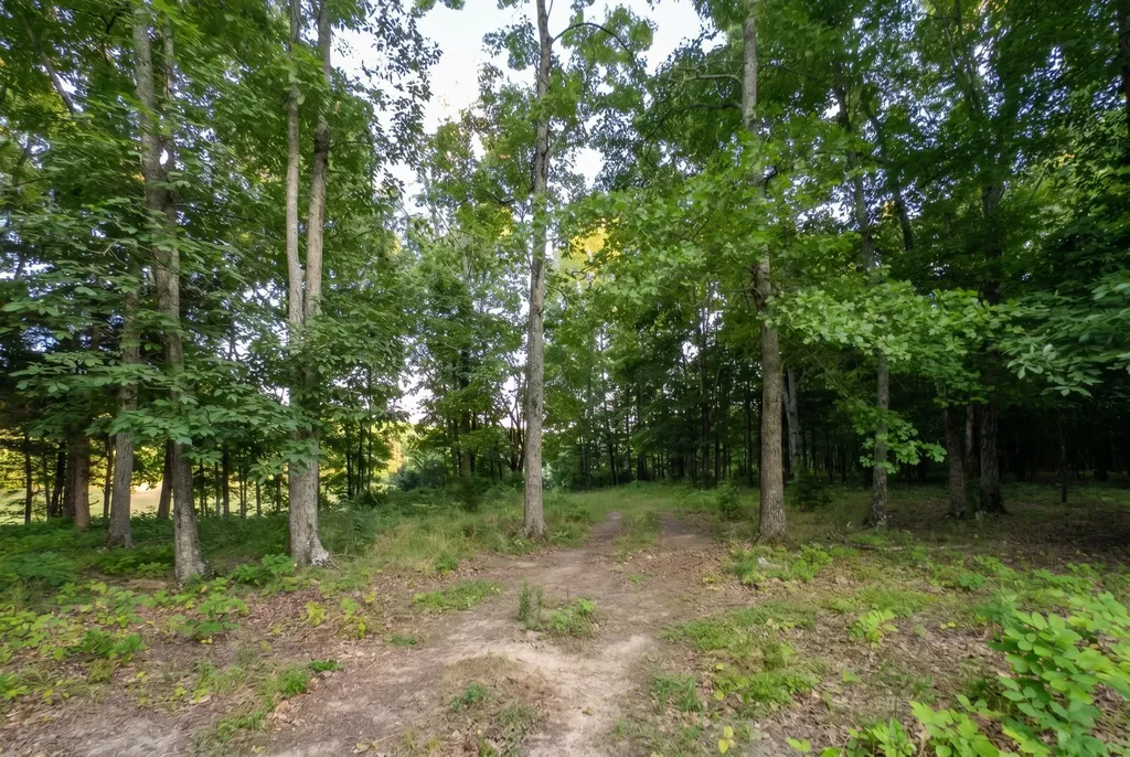 2909B Beech Log Road Watertown TN 37184