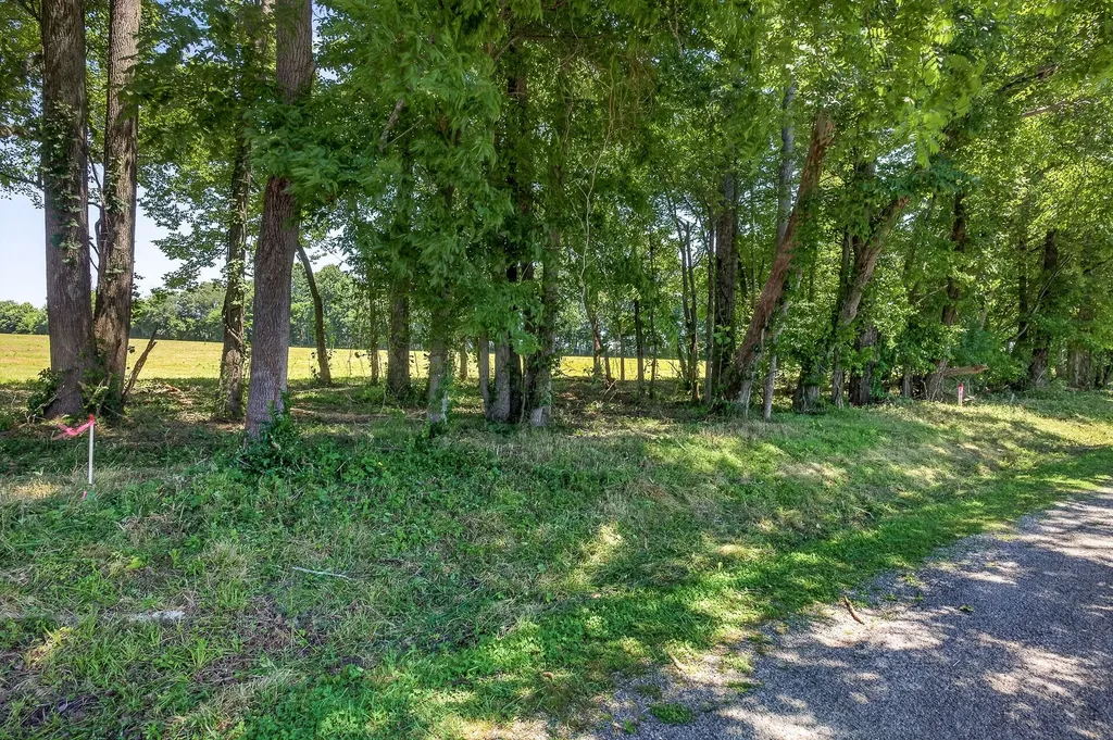 0 Lowery Road Smithville TN 37166