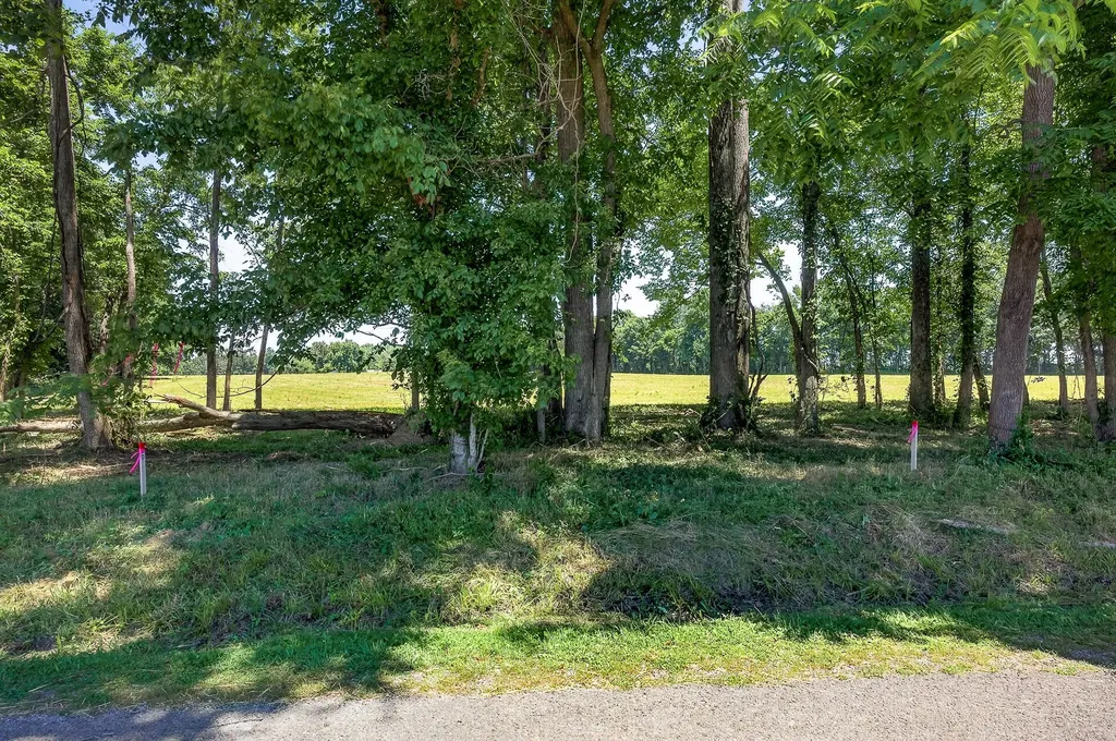0 Lowery Road Smithville TN 37166