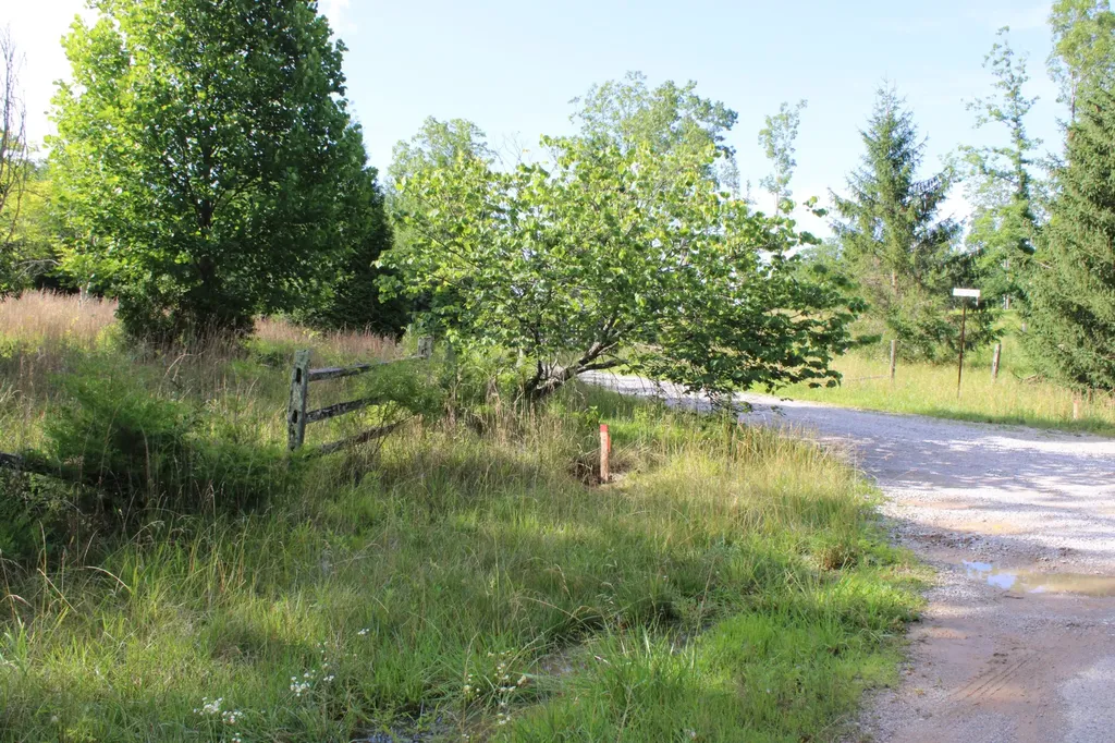 0 Long Mountain Mc Minnville TN 37110
