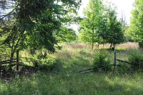 0 Long Mountain Mc Minnville TN 37110