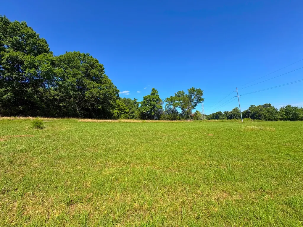 485C Canoe Branch Road Castalian Springs TN 37031