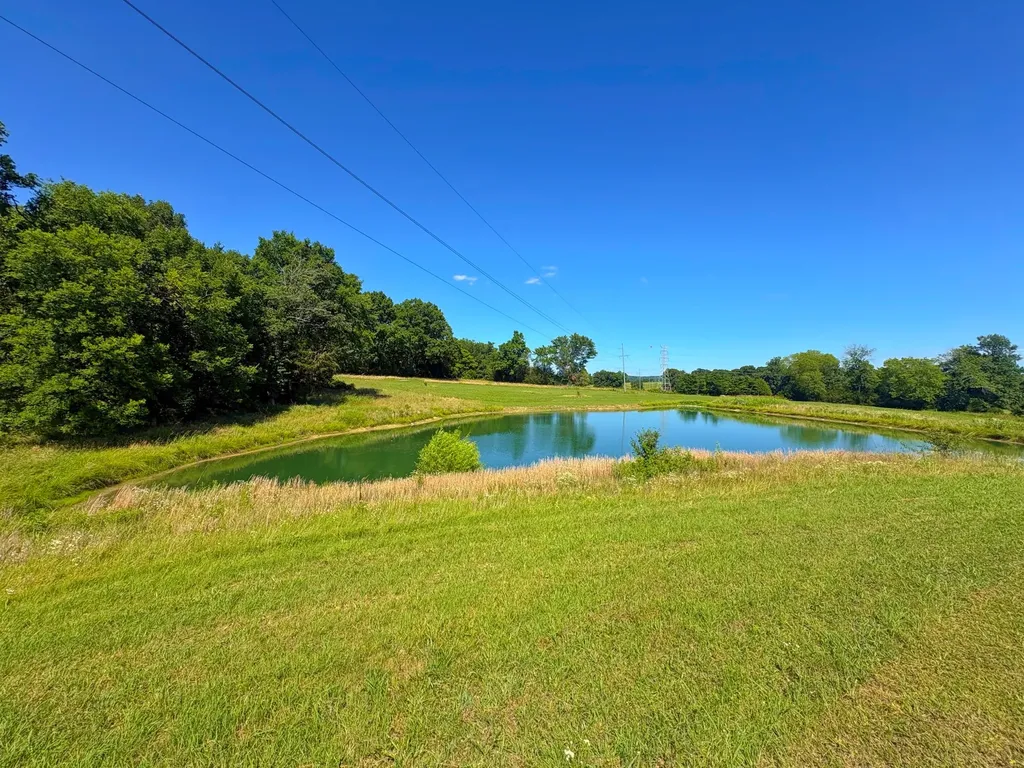 485C Canoe Branch Road Castalian Springs TN 37031