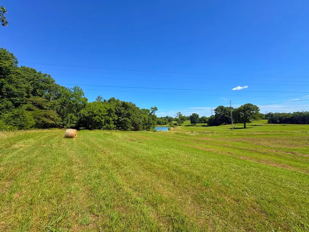 485C Canoe Branch Road Castalian Springs TN 37031