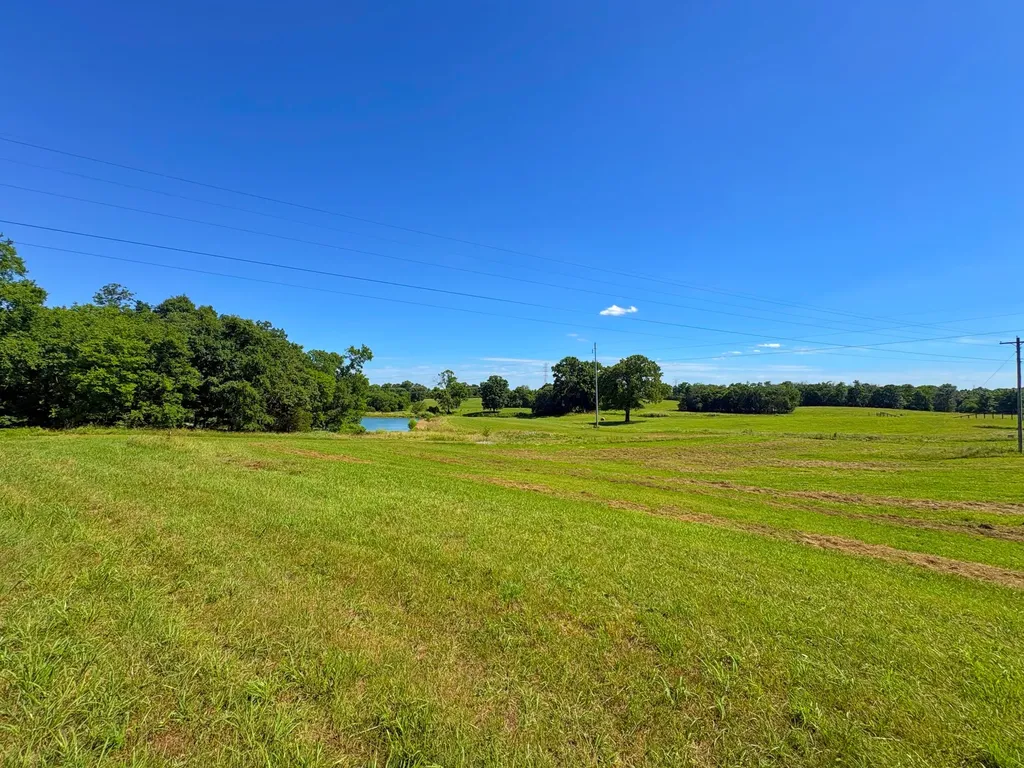 485C Canoe Branch Road Castalian Springs TN 37031