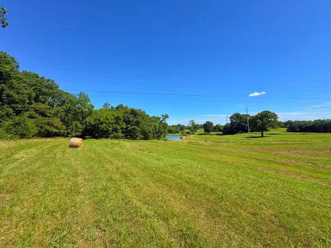 485C Canoe Branch Road Castalian Springs TN 37031