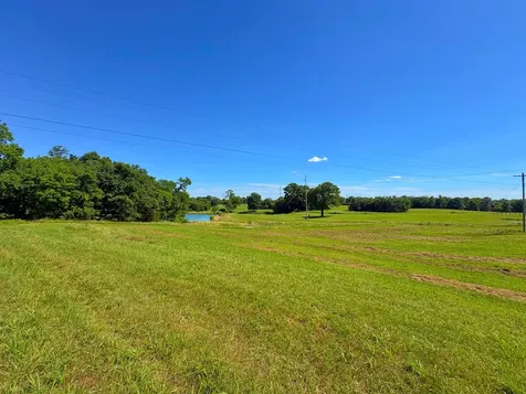 485C Canoe Branch Road Castalian Springs TN 37031