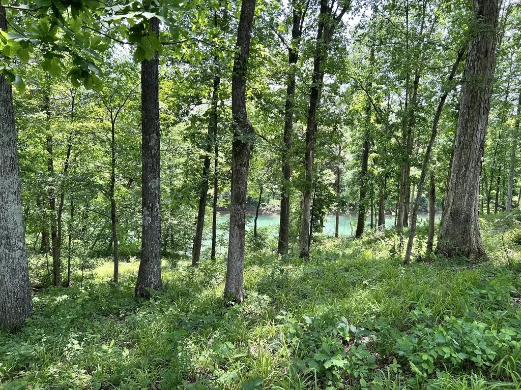 0 Anchor Bend Drive Rock Island TN 38581