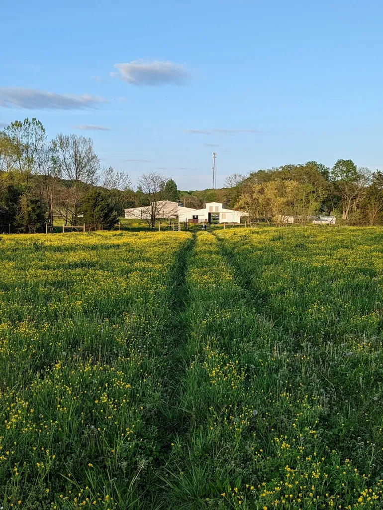 14620 Cainsville Road Lebanon TN 37090