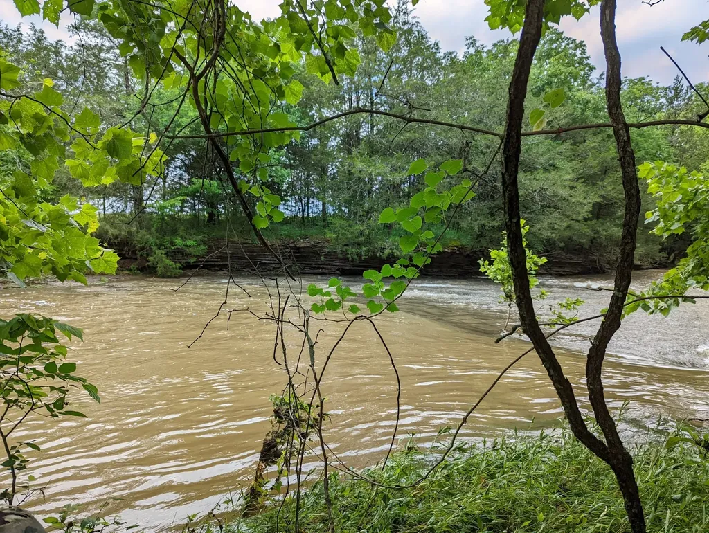 14620 Cainsville Road Lebanon TN 37090