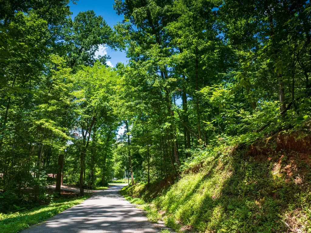 1175 Mcghee Road Greenback TN 37742