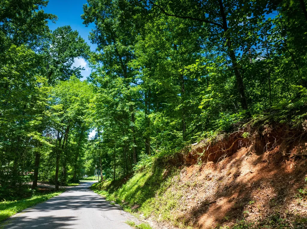 1175 Mcghee Road Greenback TN 37742