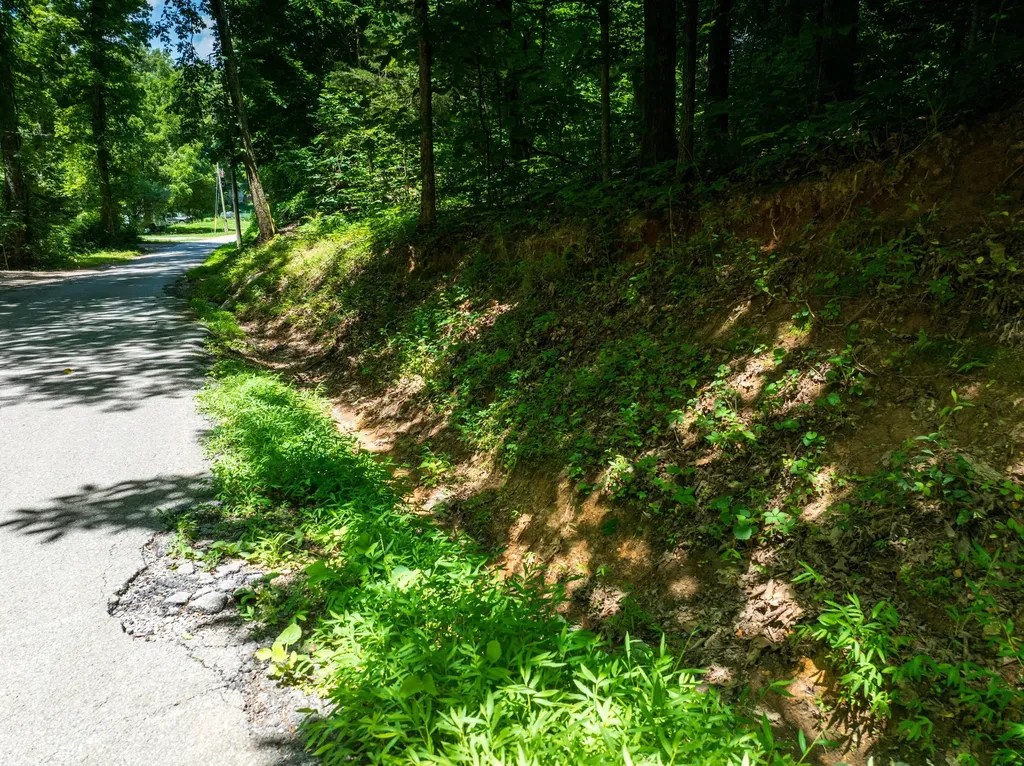 1175 Mcghee Road Greenback TN 37742