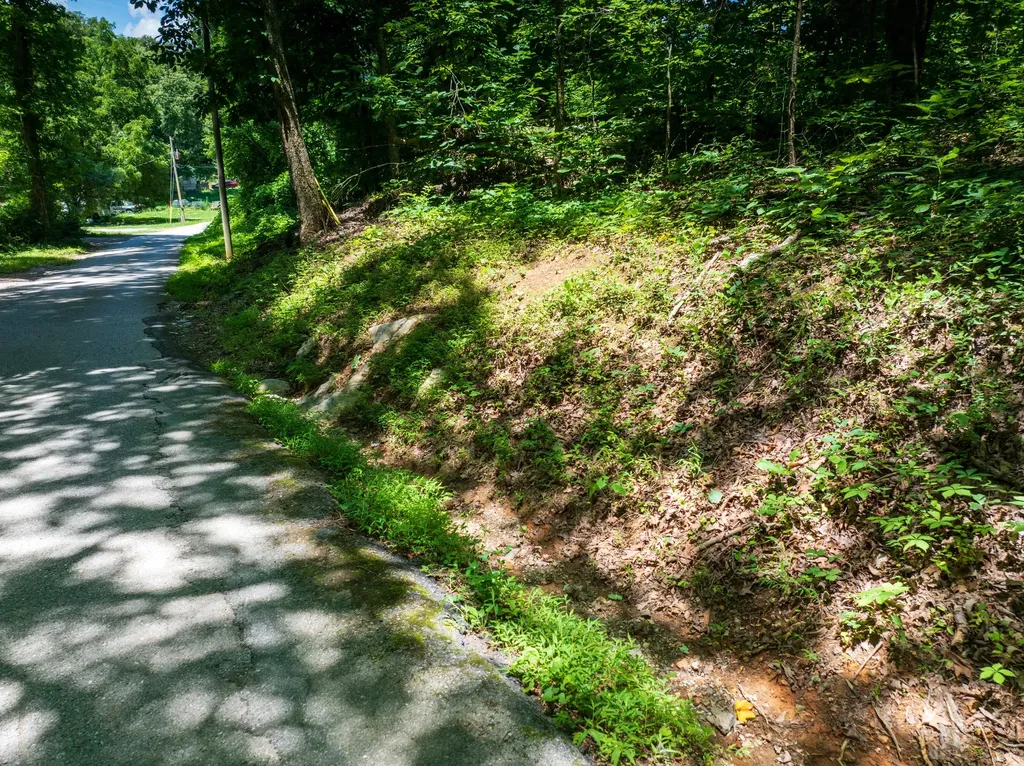 1175 Mcghee Road Greenback TN 37742