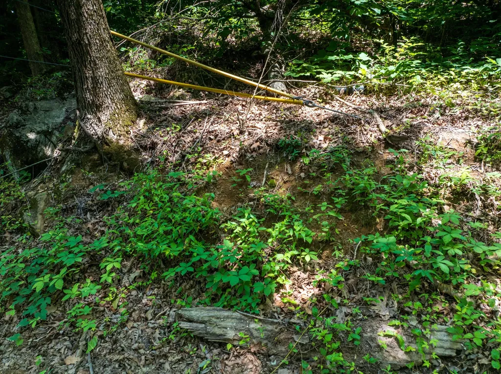 1175 Mcghee Road Greenback TN 37742
