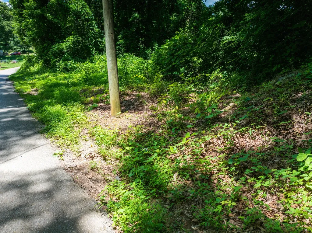 1175 Mcghee Road Greenback TN 37742