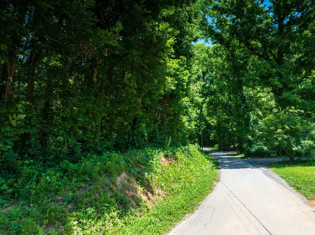 1175 Mcghee Road Greenback TN 37742