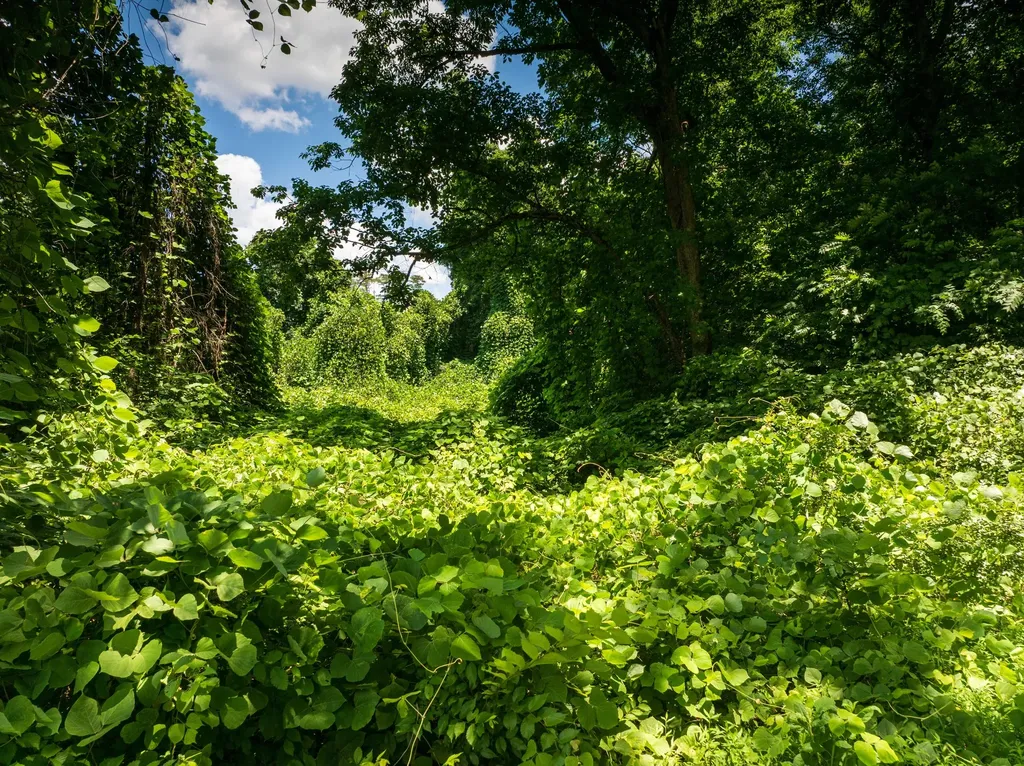 1175 Mcghee Road Greenback TN 37742