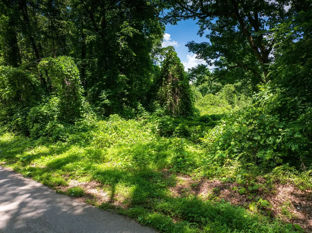 1175 Mcghee Road Greenback TN 37742