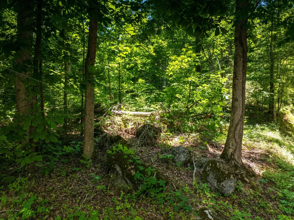 1175 Mcghee Road Greenback TN 37742