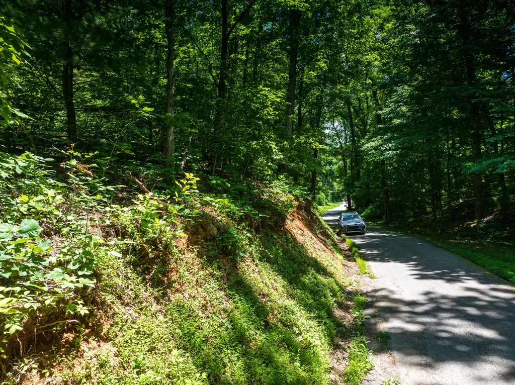 1175 Mcghee Road Greenback TN 37742