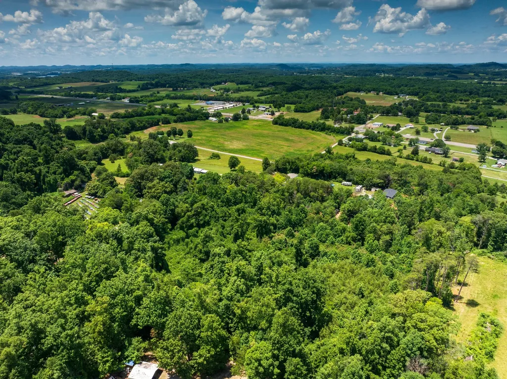 1175 Mcghee Road Greenback TN 37742