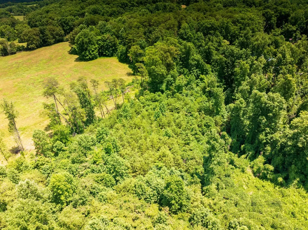 1175 Mcghee Road Greenback TN 37742