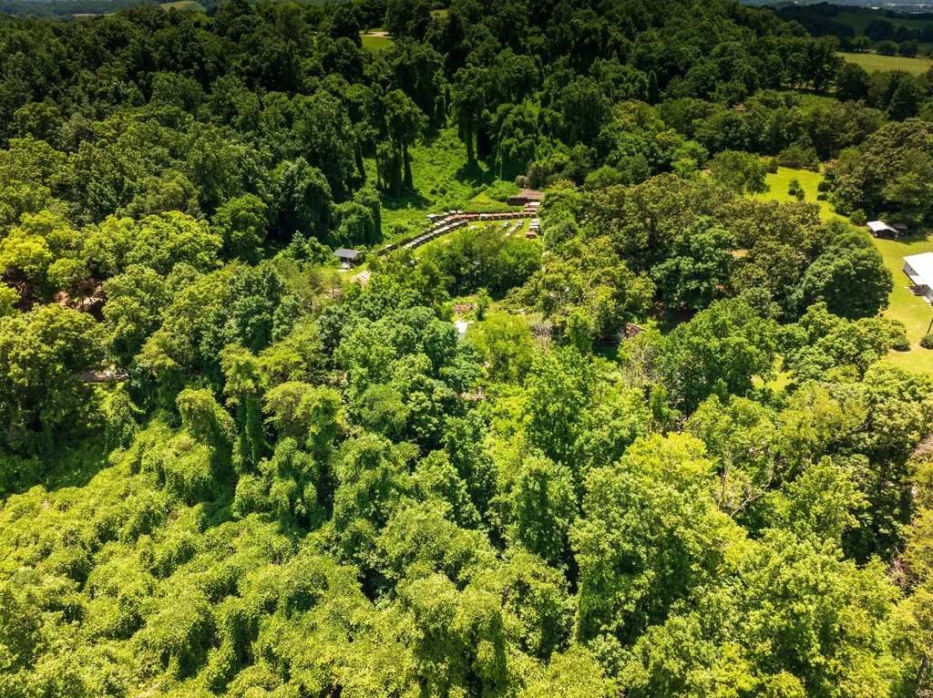 1175 Mcghee Road Greenback TN 37742