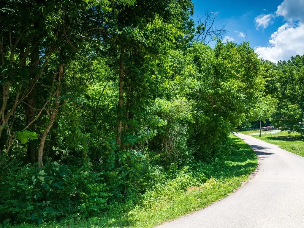 1175 Mcghee Road Greenback TN 37742