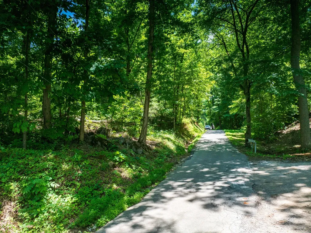 1175 Mcghee Road Greenback TN 37742