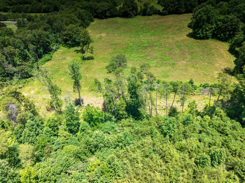 1175 Mcghee Road Greenback TN 37742