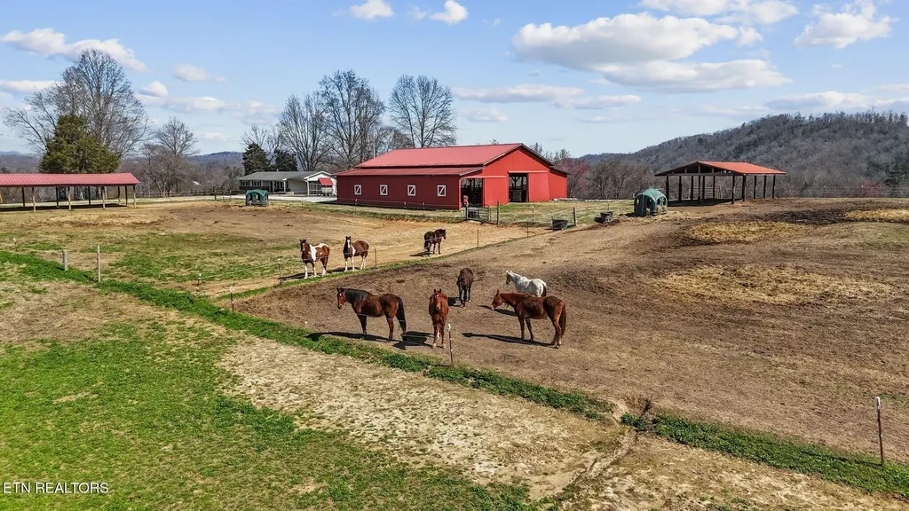 786 Swan Pond Circle Road Harriman TN 37748