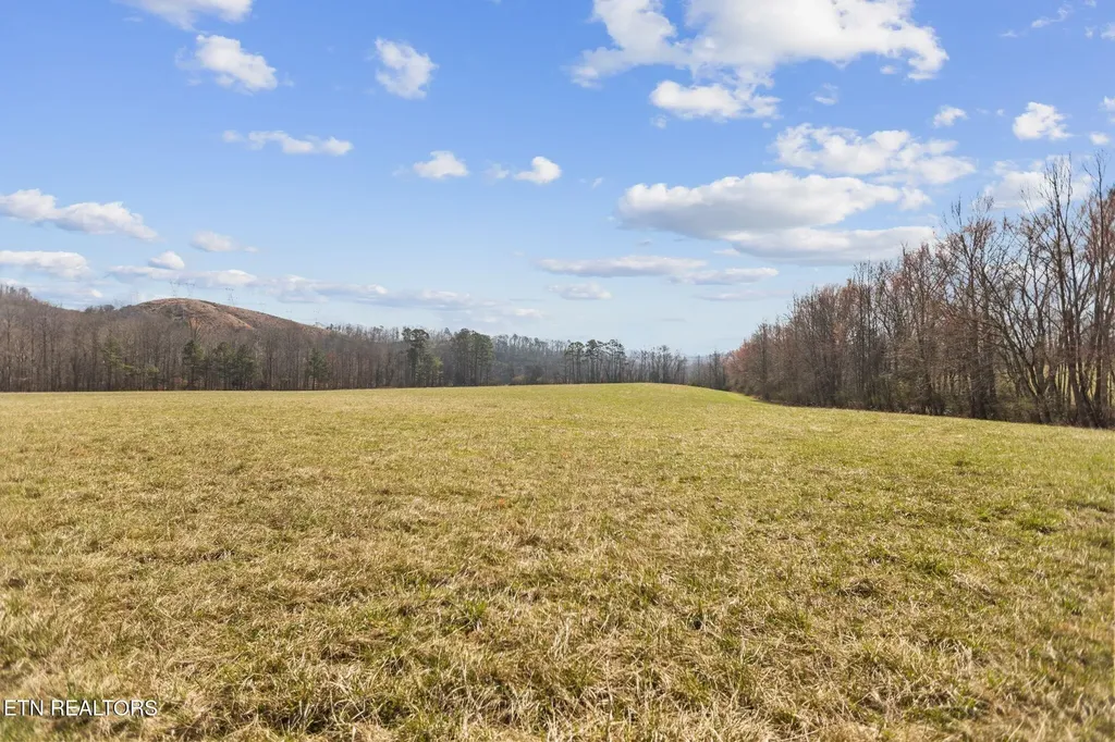786 Swan Pond Circle Road Harriman TN 37748