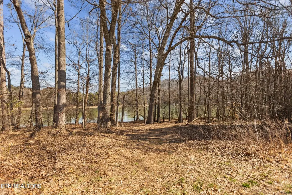 786 Swan Pond Circle Road Harriman TN 37748