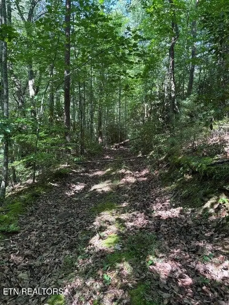 4 Old Furnace Road Tellico Plains TN 37385