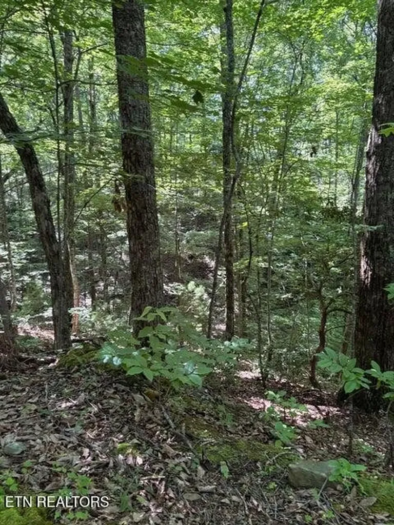4 Old Furnace Road Tellico Plains TN 37385
