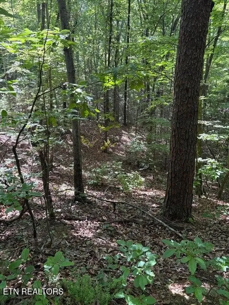 4 Old Furnace Road Tellico Plains TN 37385