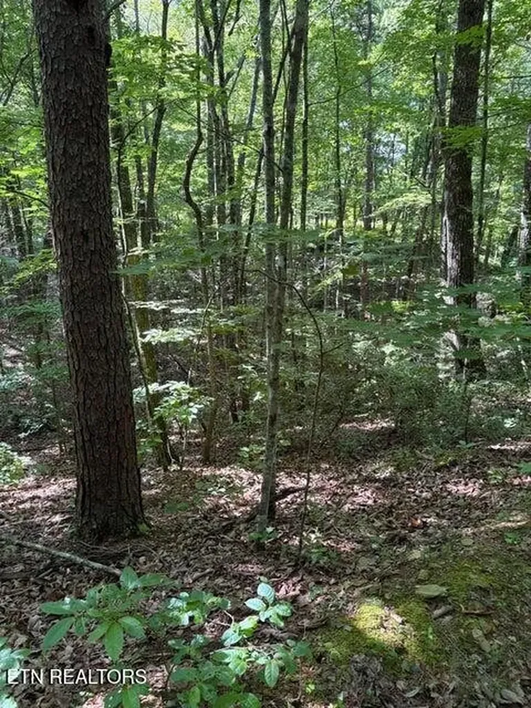 4 Old Furnace Road Tellico Plains TN 37385