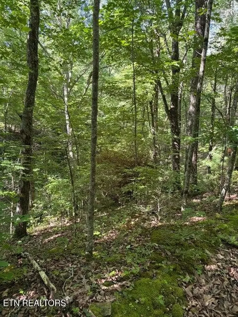 4 Old Furnace Road Tellico Plains TN 37385