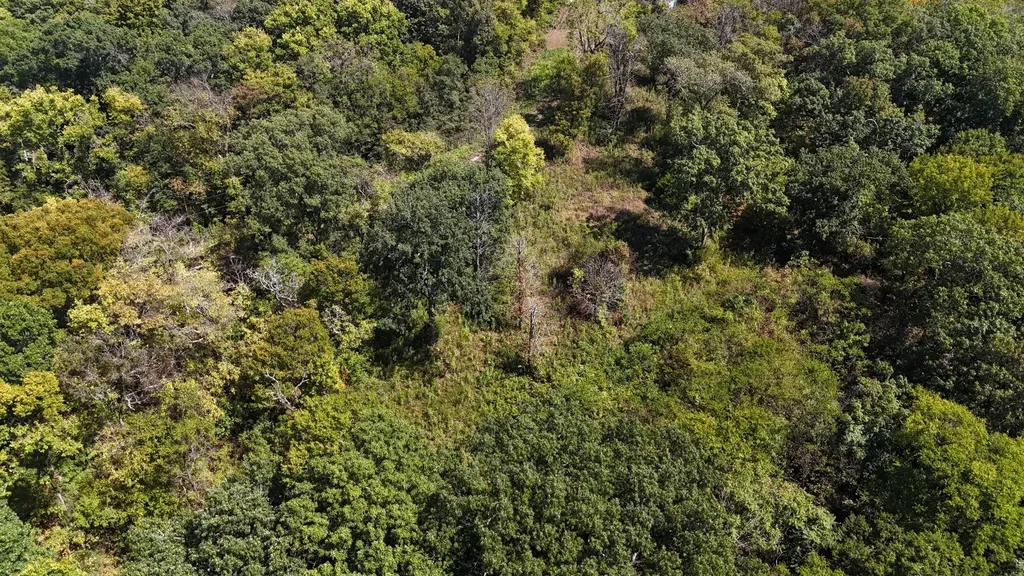0 Highway 231 N Bethpage TN 37022