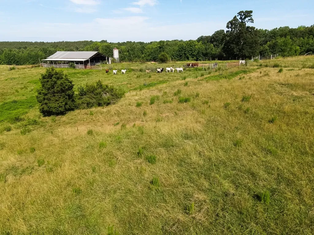 1074 Mcgee Road Decaturville TN 38329